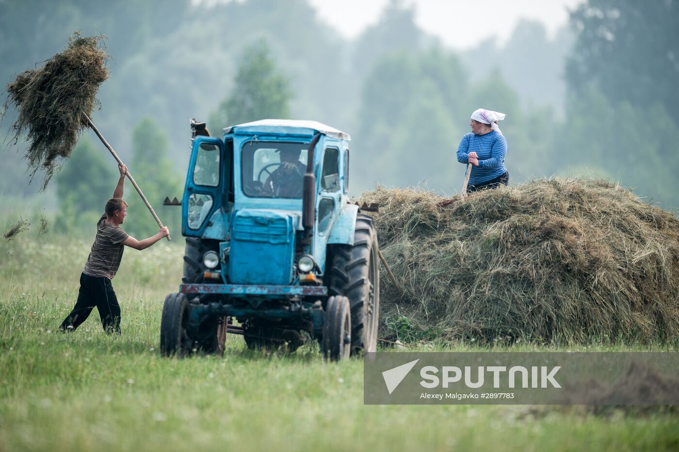 Harvesting hay in Omsk region