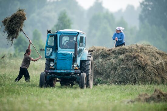Harvesting hay in Omsk region