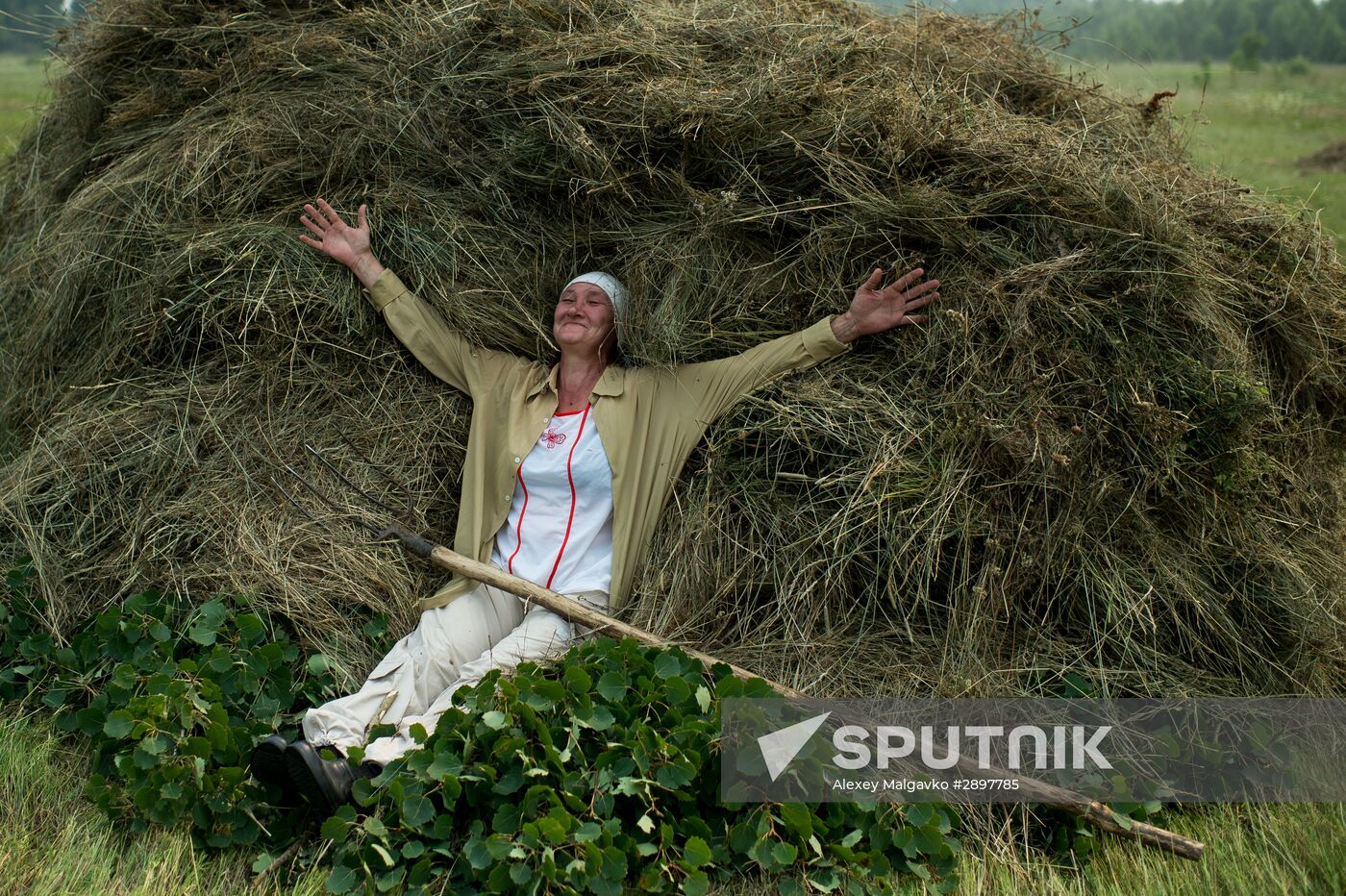 Harvesting hay in Omsk region