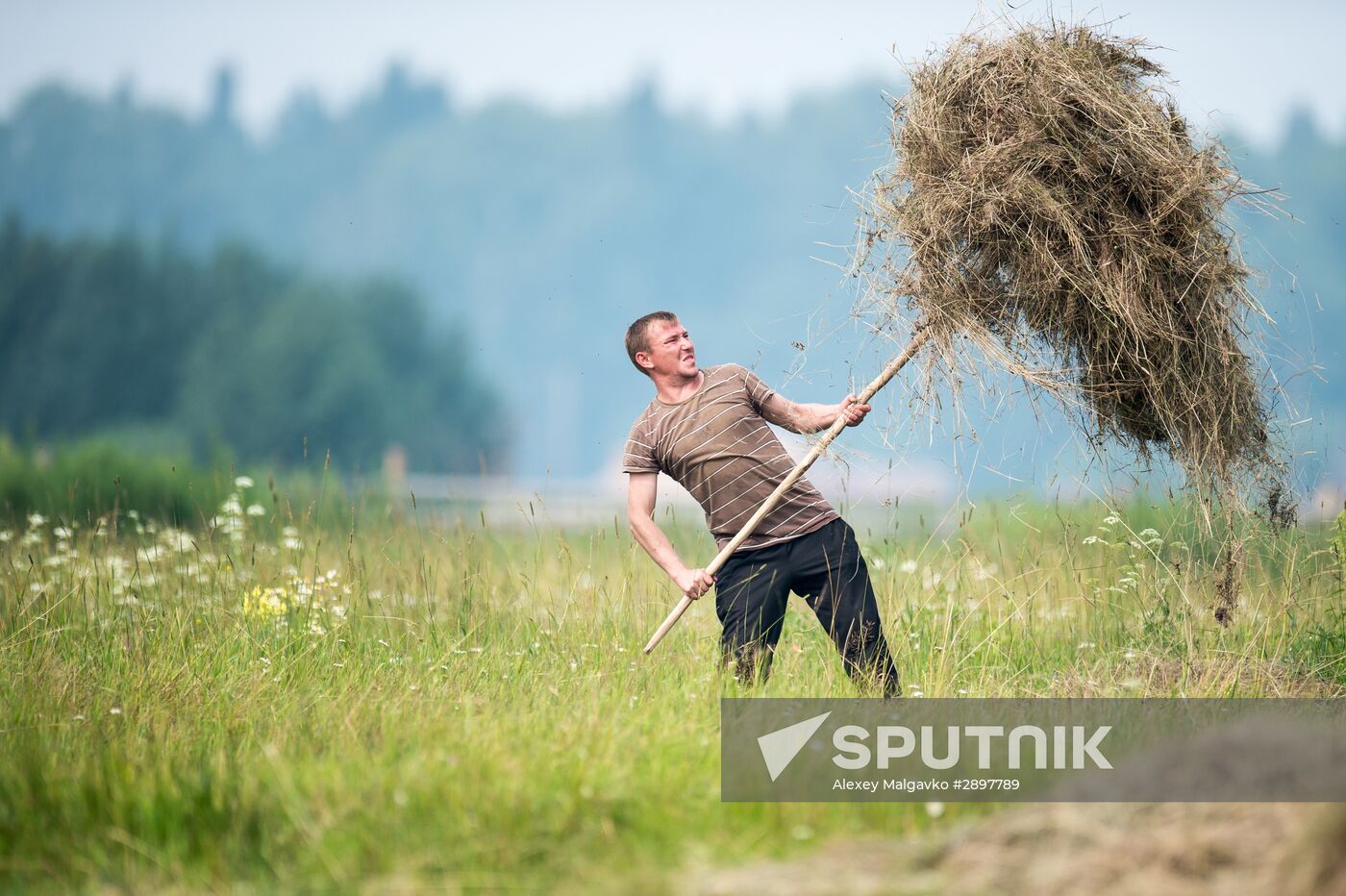 Harvesting hay in Omsk region