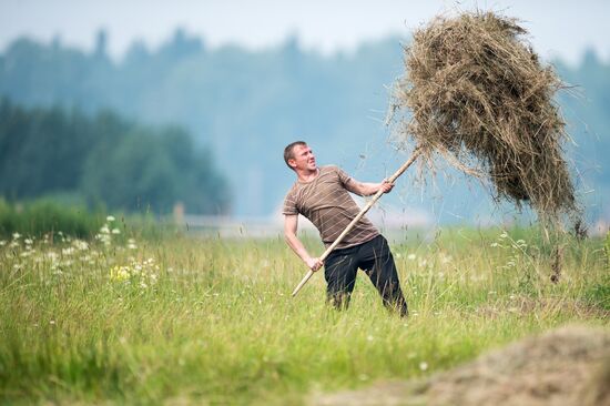 Harvesting hay in Omsk region