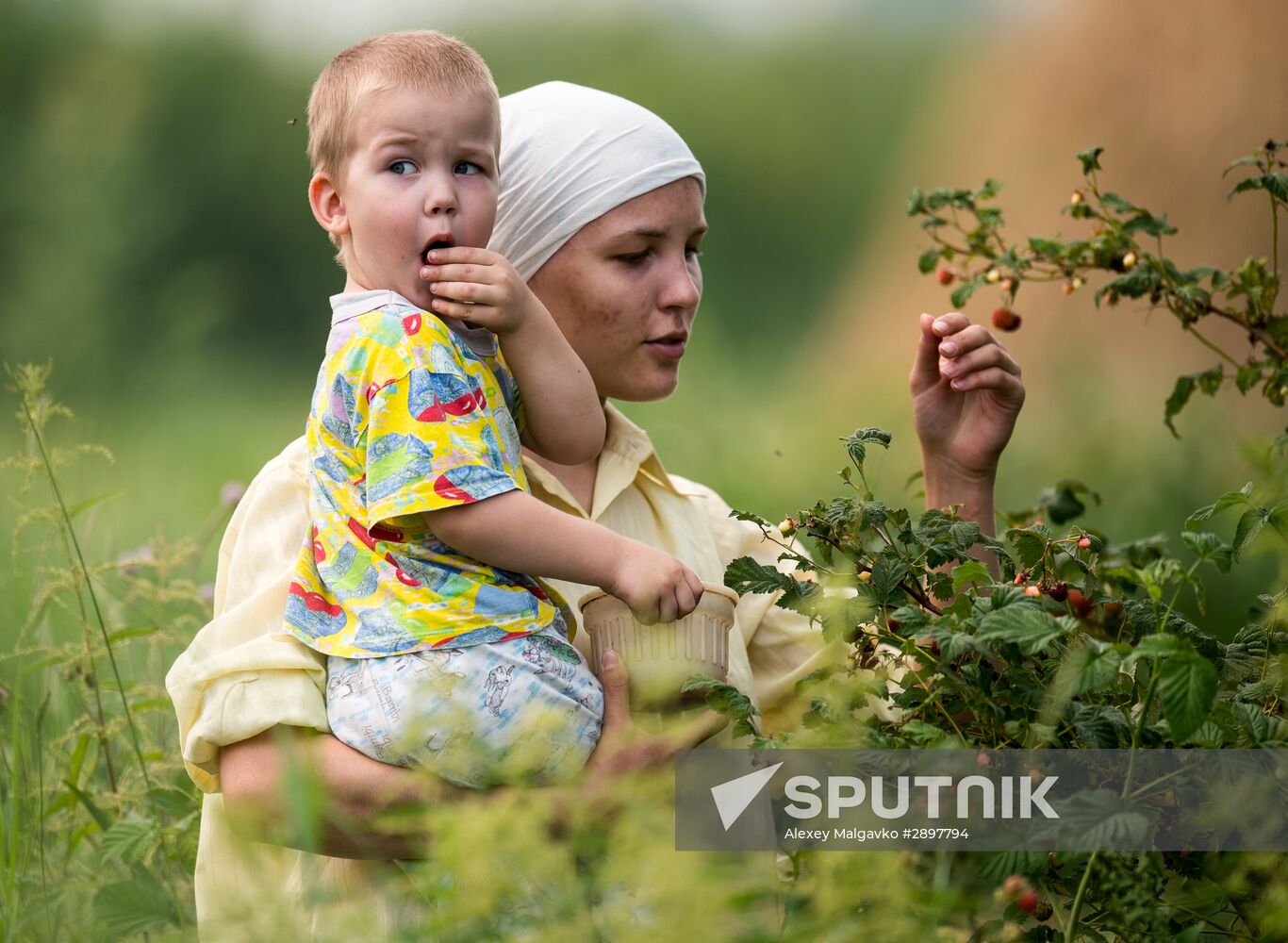 Hay making in Omsk Region