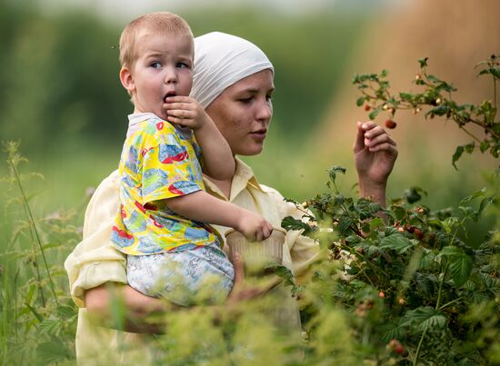 Hay making in Omsk Region