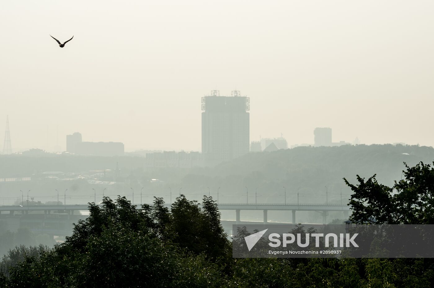 Smog in Moscow