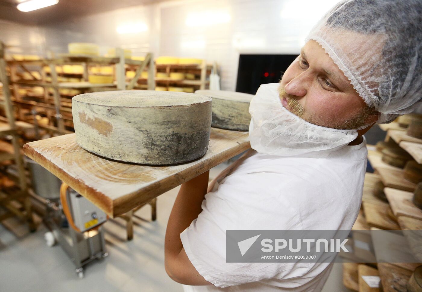 Farm in Istrinsky district