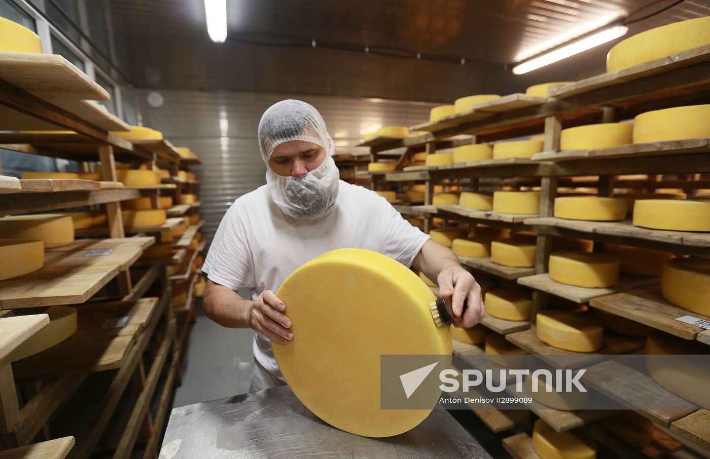 Farm in Istra district