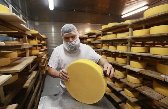 Farm in Istra district