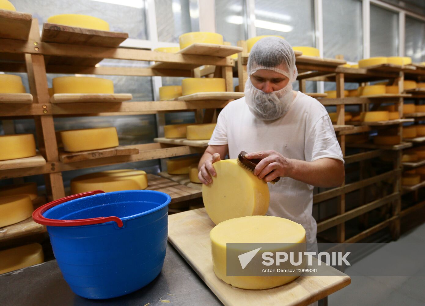 Farm in Istra district