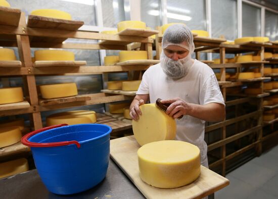 Farm in Istra district