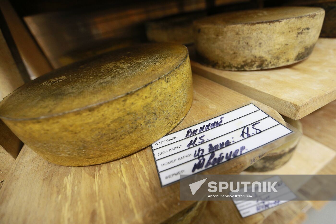 Farm in Istrinsky district