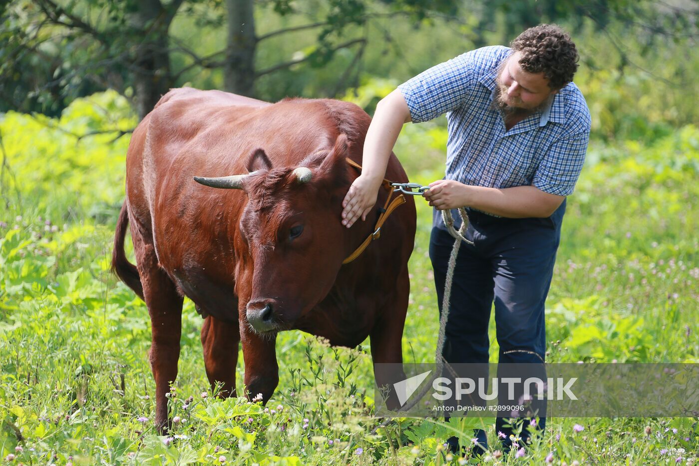 Farm in Istrinsky district
