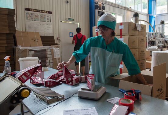 Tea production in Sochi