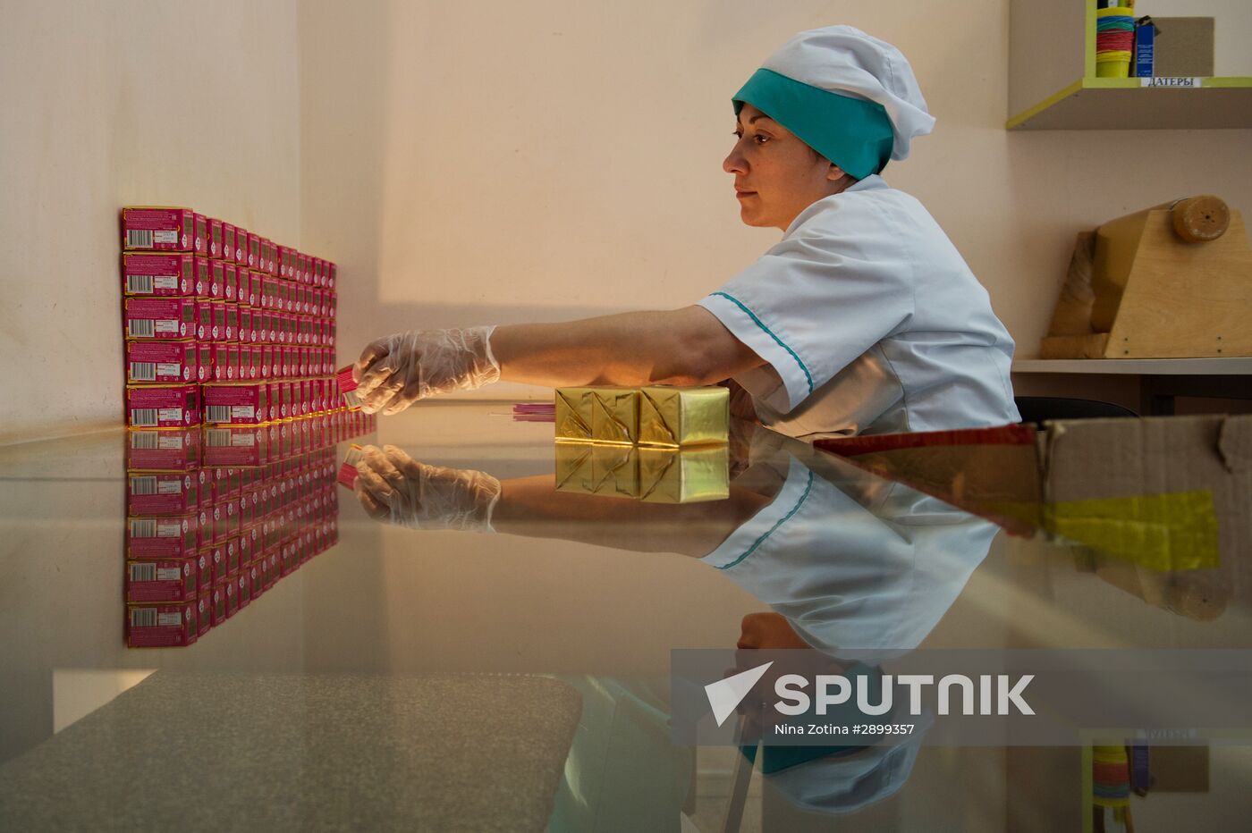 Tea production in Sochi