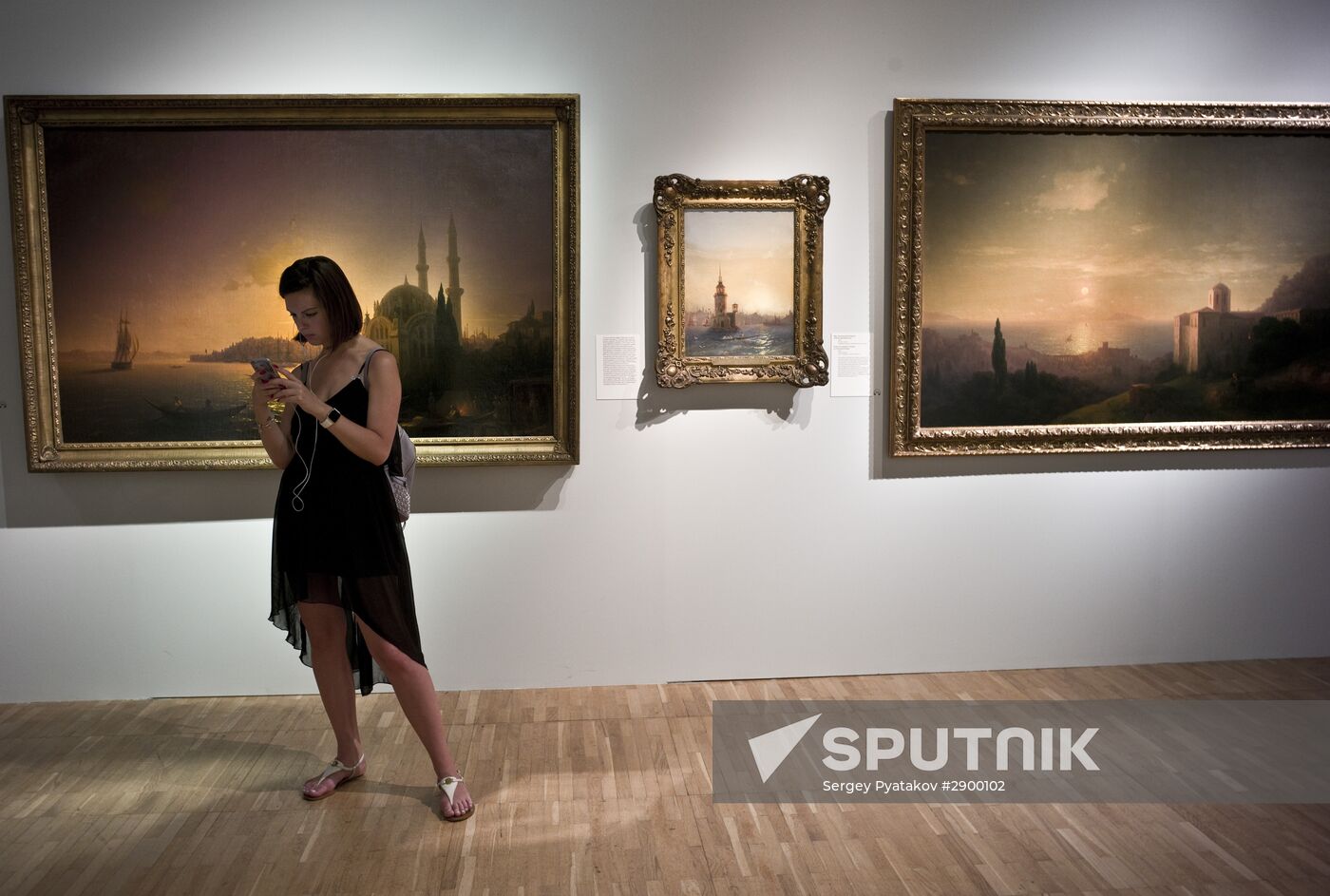 Ivan Aivazovsky Bicentenary exhibition