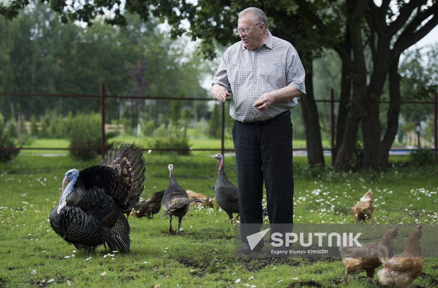 Vladimir Zhirinovsky's farm