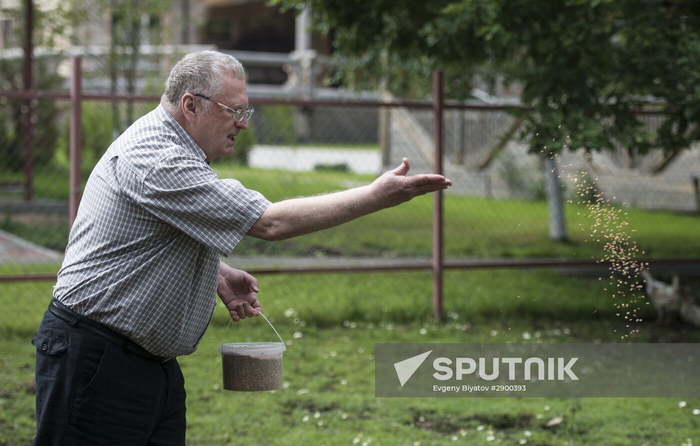 Vladimir Zhirinovsky's farm