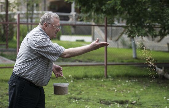 Vladimir Zhirinovsky's farm