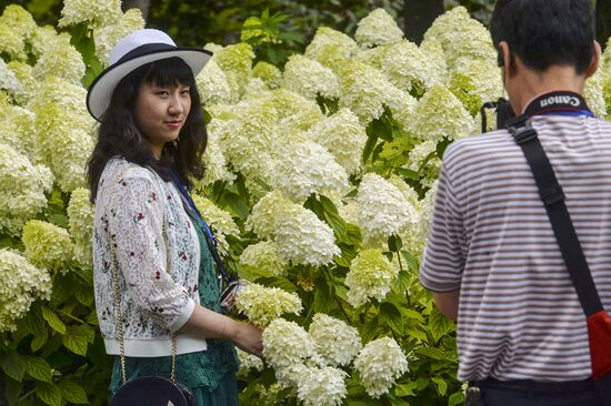 Experts predict influx of foreign tourists to Russia