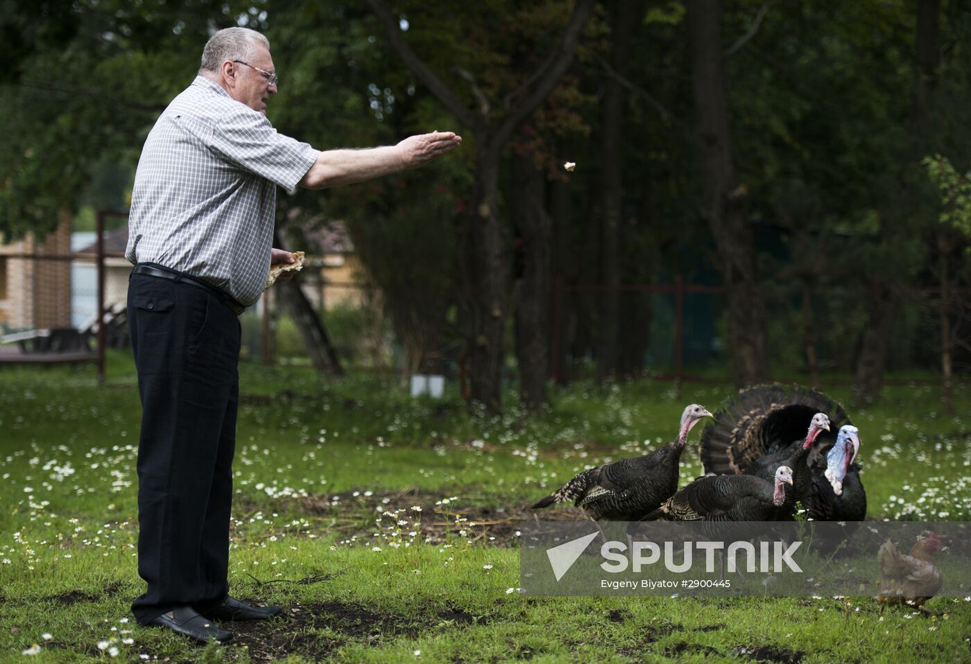 Vladimir Zhirinovsky's farm