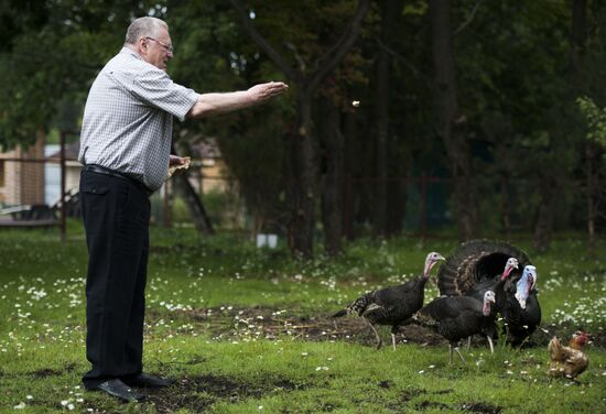 Vladimir Zhirinovsky's farm