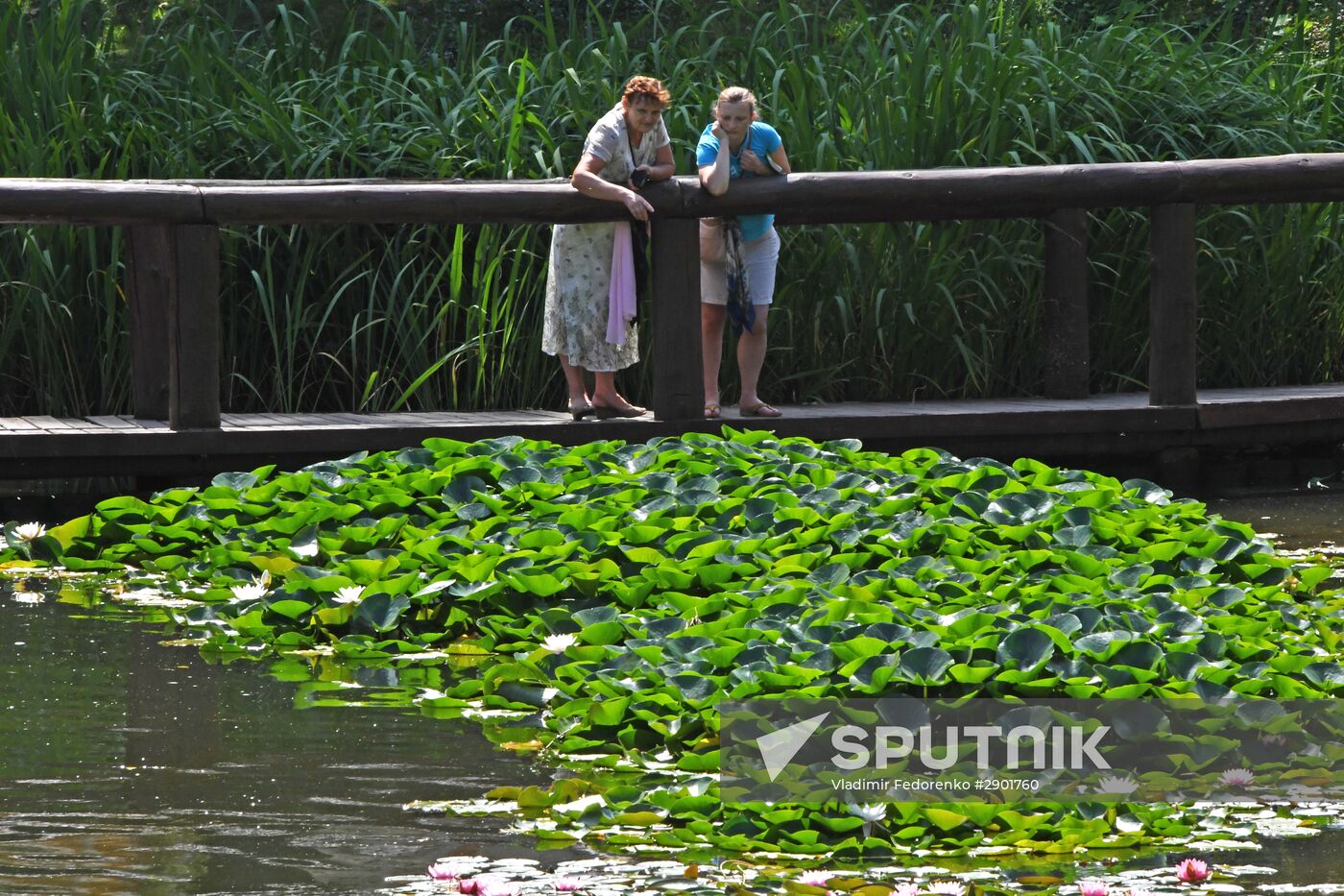 Recreation in Moscow Vorontsovsky Park