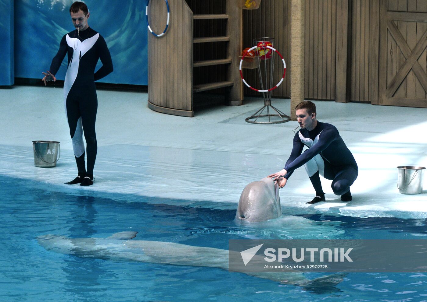 Dolphinarium opens in Novosibirsk
