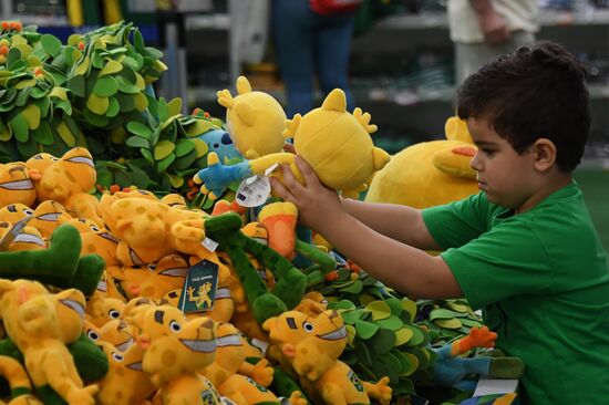 Preparing Rio de Janeiro for the Olympic Games