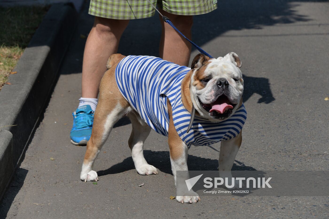 Celebrating Airborne Force Day in Russian cities
