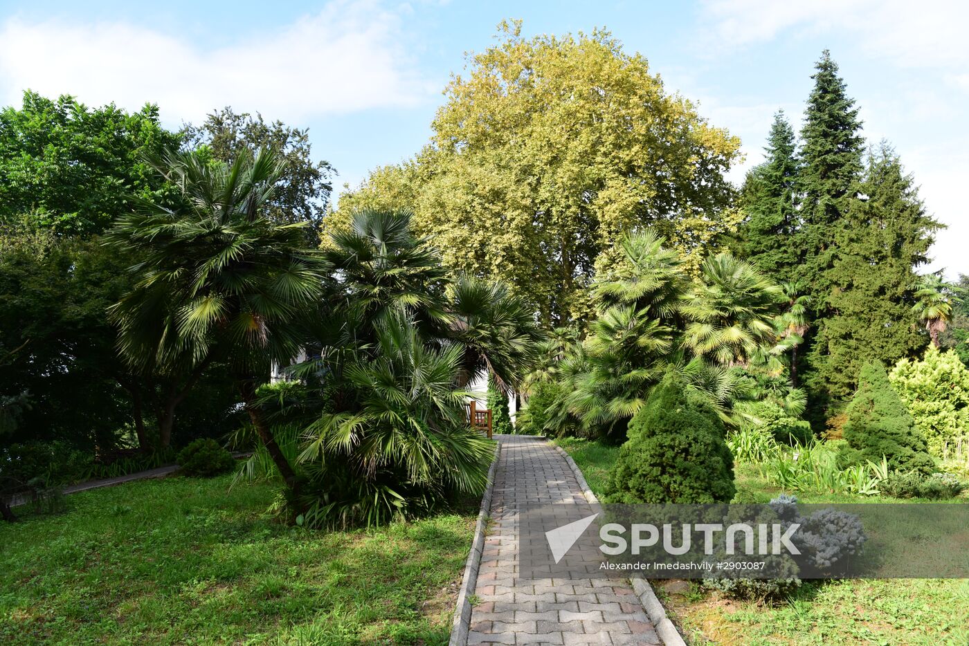 Botanical Gardens in Batumi