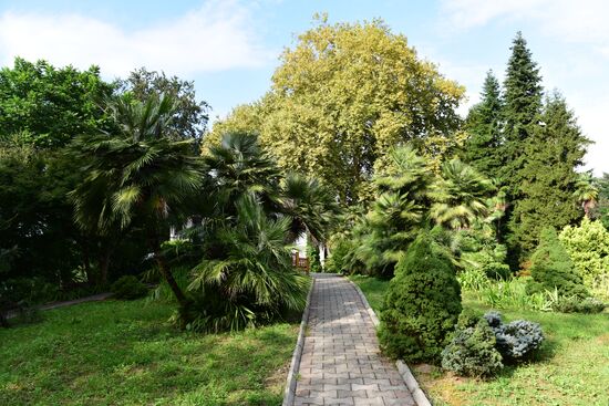 Botanical Gardens in Batumi