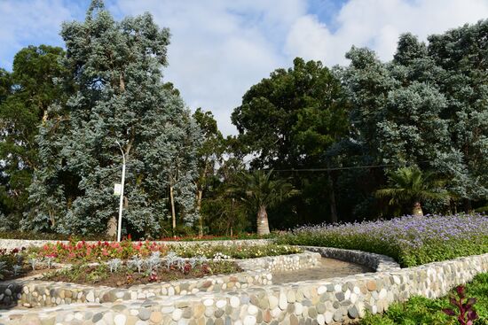 Botanical Gardens in Batumi