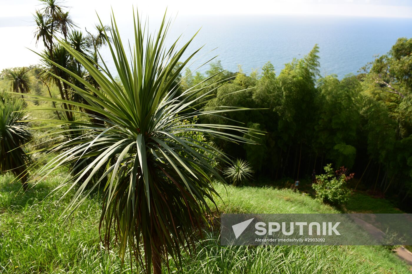 Botanical Gardens in Batumi