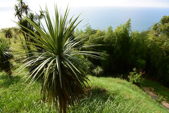 Botanical Gardens in Batumi