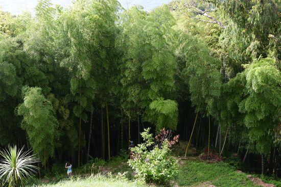 Botanical Gardens in Batumi