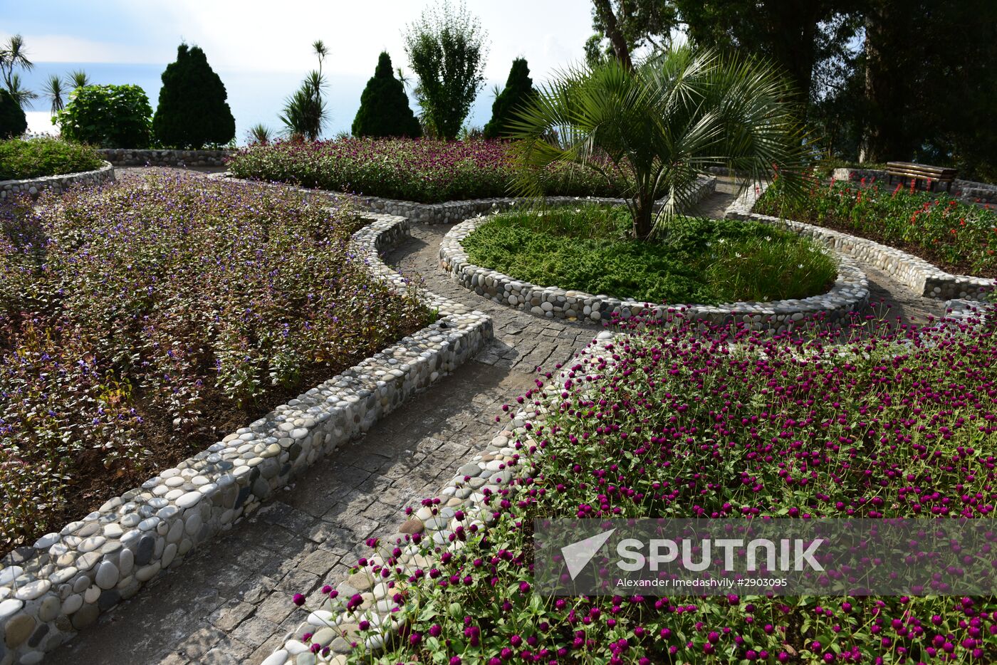 The Batumi Botanical Garden