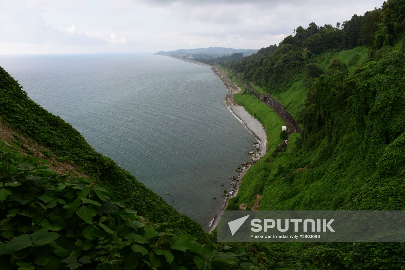 The Batumi Botanical Garden