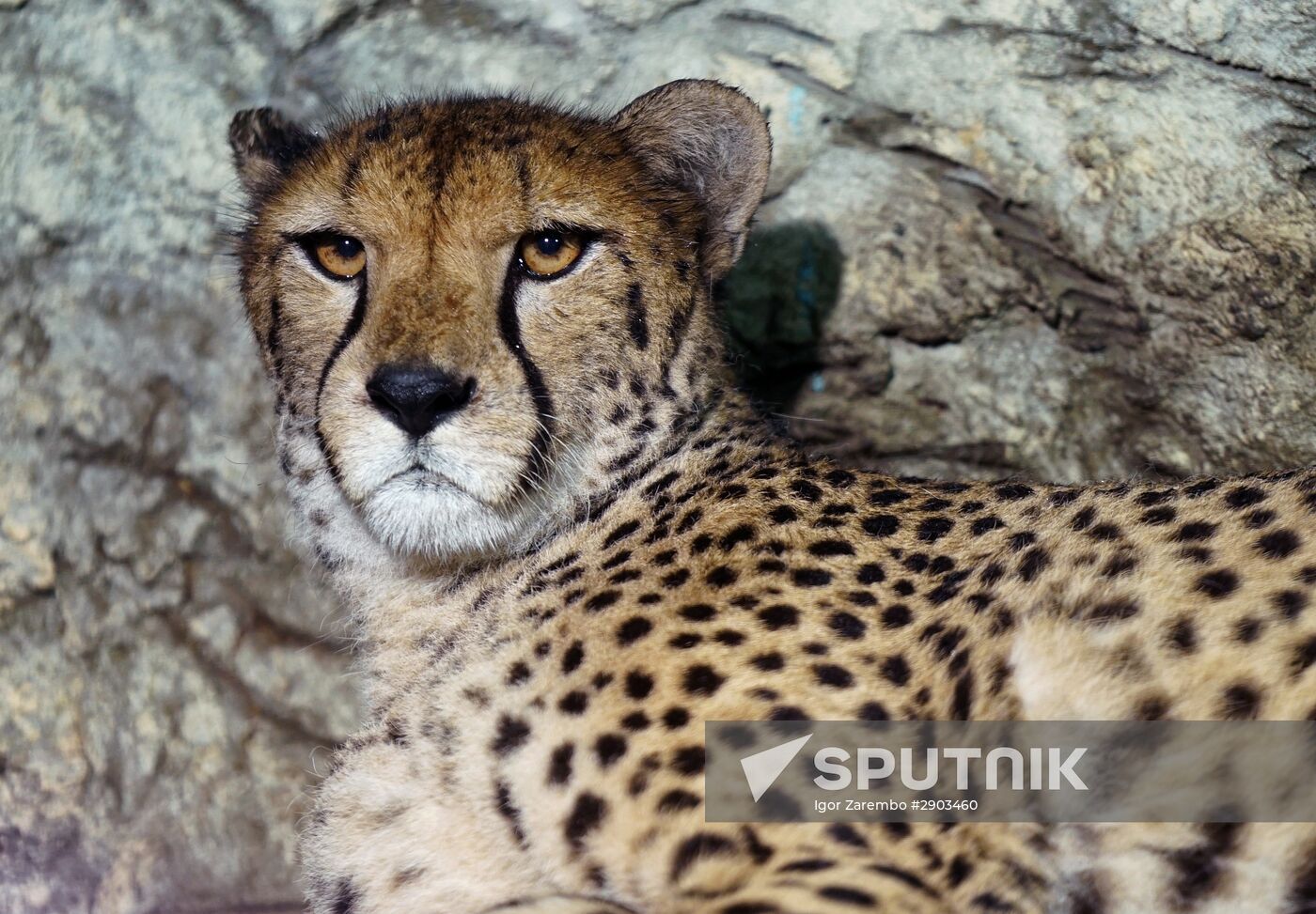Eberswalde Zoo