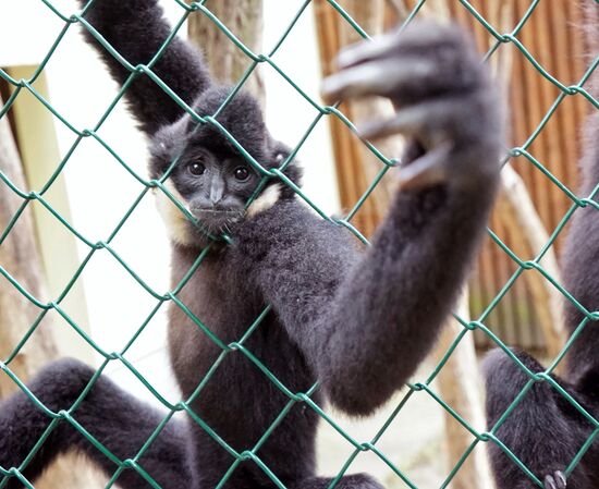 Eberswalde Zoo