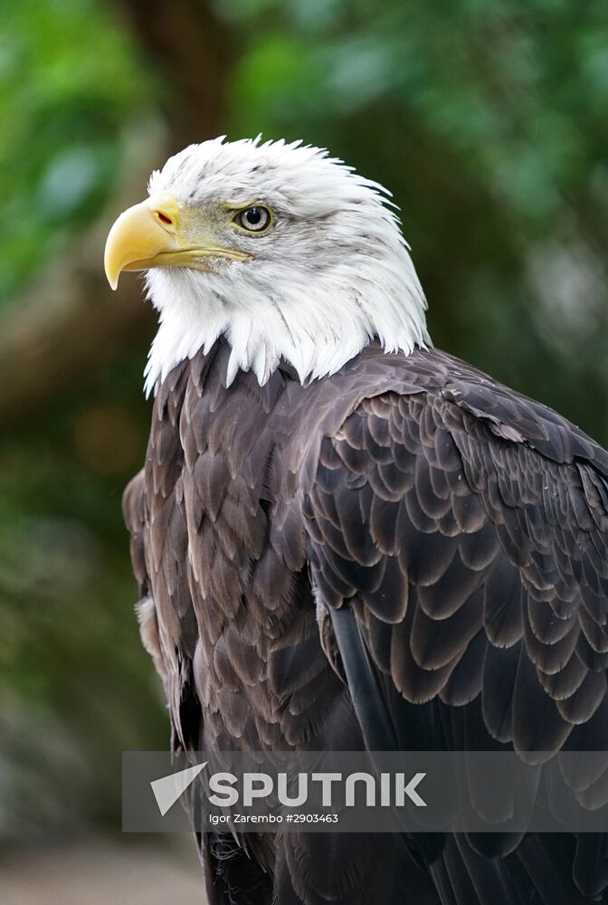 Eberswalde Zoo