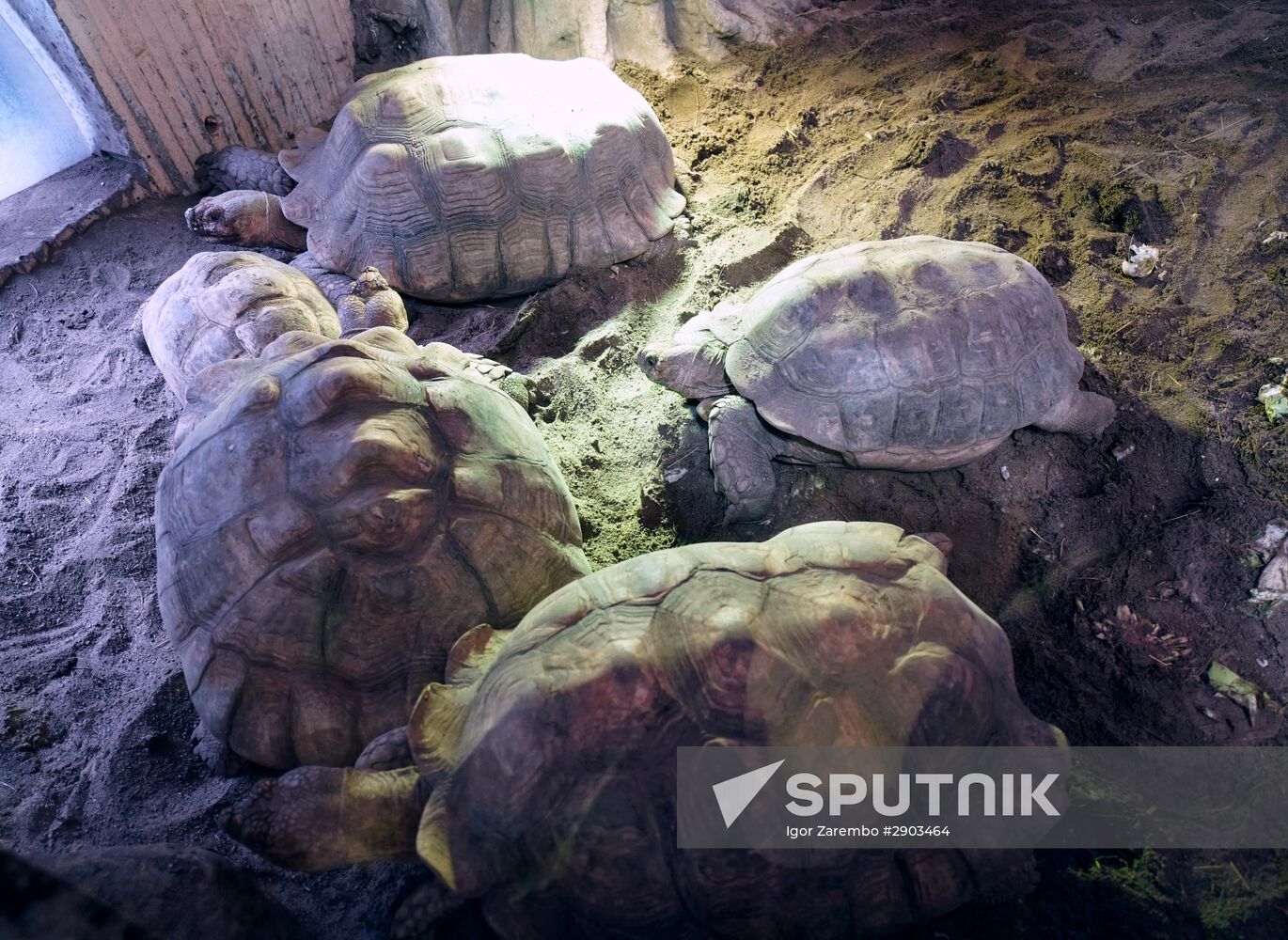 Eberswalde Zoo