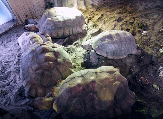 Eberswalde Zoo