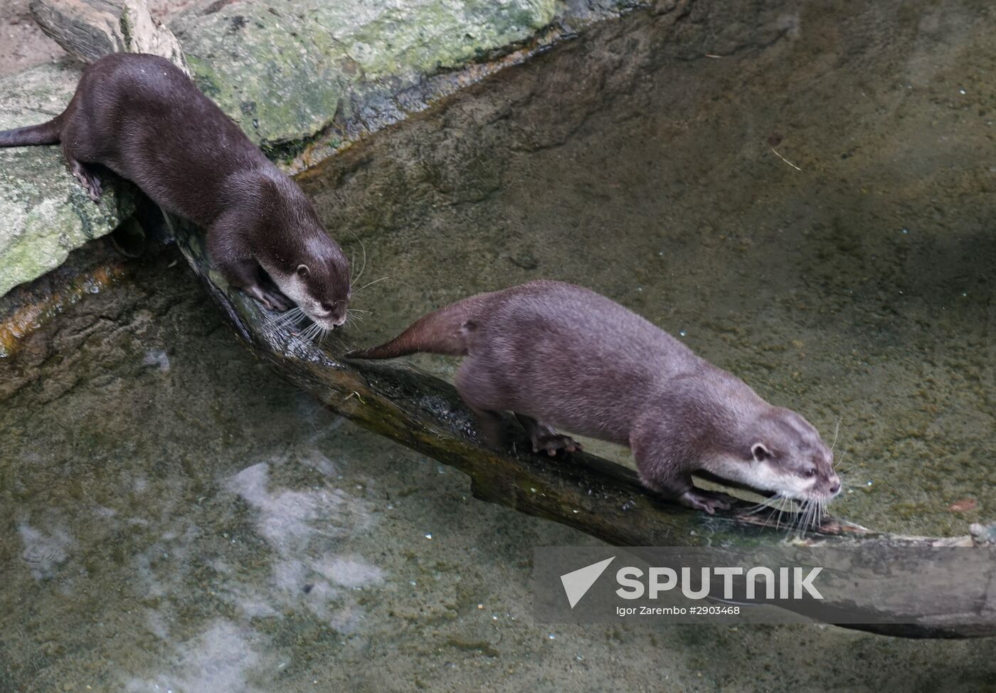 Eberswalde Zoo