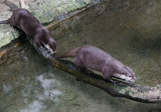 Eberswalde Zoo