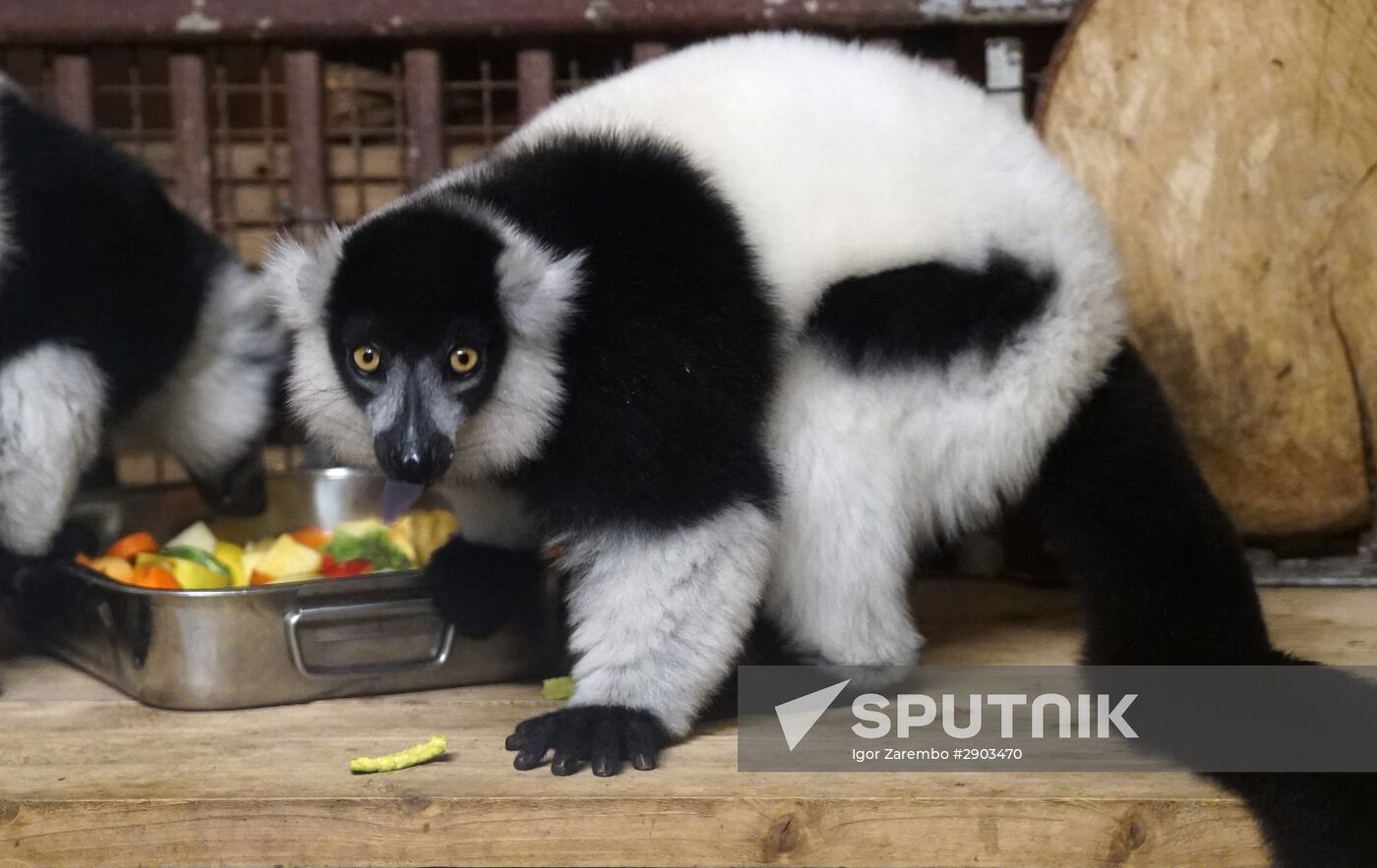 Eberswalde Zoo