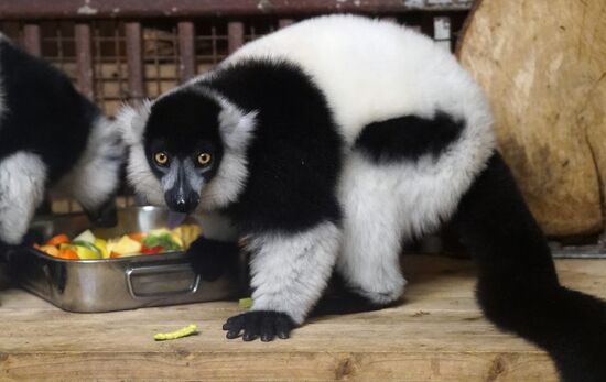 Eberswalde Zoo