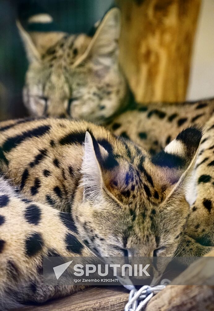 Eberswalde Zoo