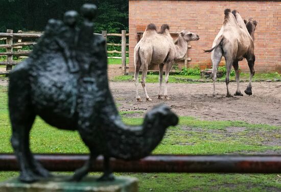 Eberswalde Zoo