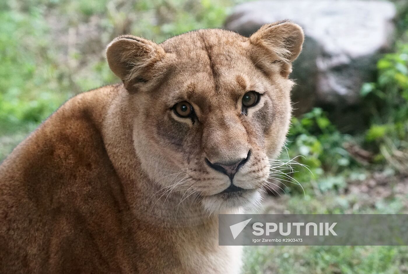 Eberswalde Zoo