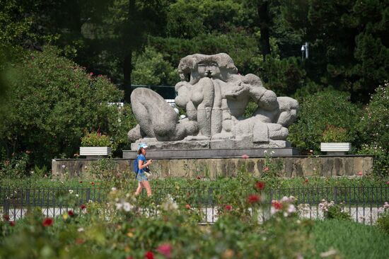 Sochi Arboretum