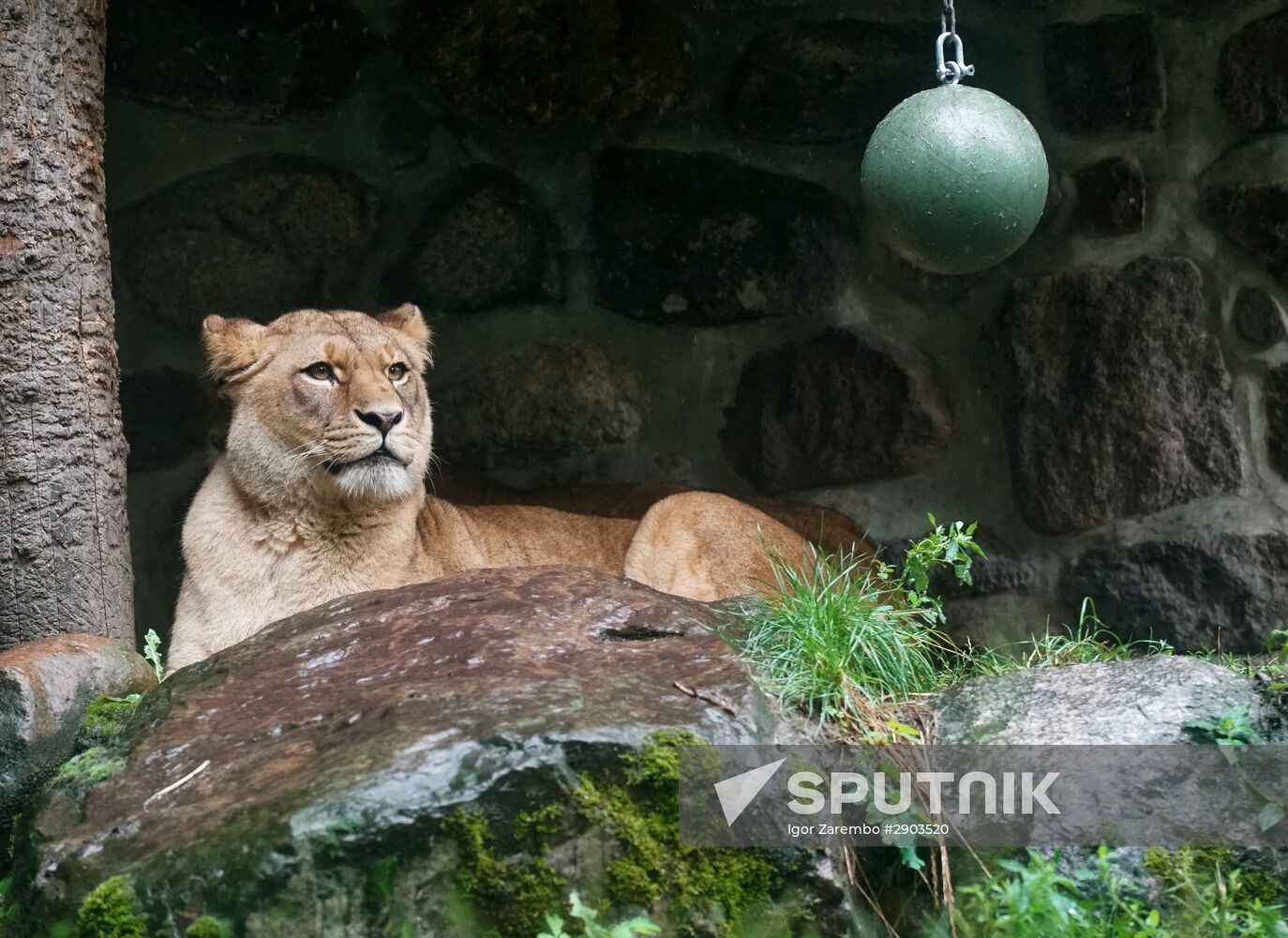 Eberswalde Zoo